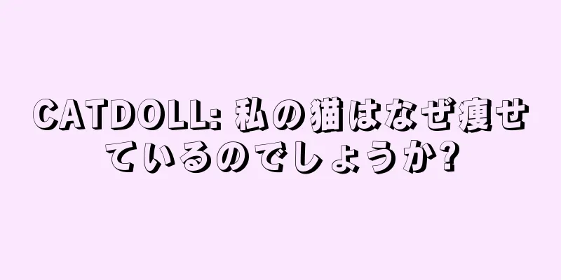 CATDOLL: 私の猫はなぜ痩せているのでしょうか?