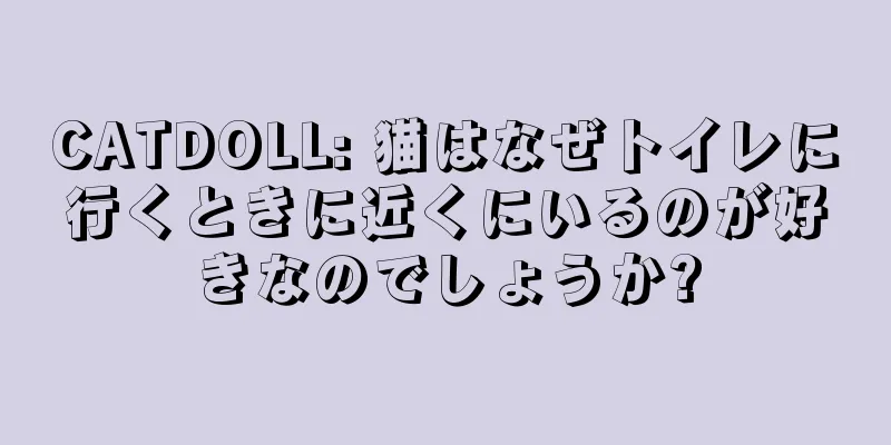 CATDOLL: 猫はなぜトイレに行くときに近くにいるのが好きなのでしょうか?