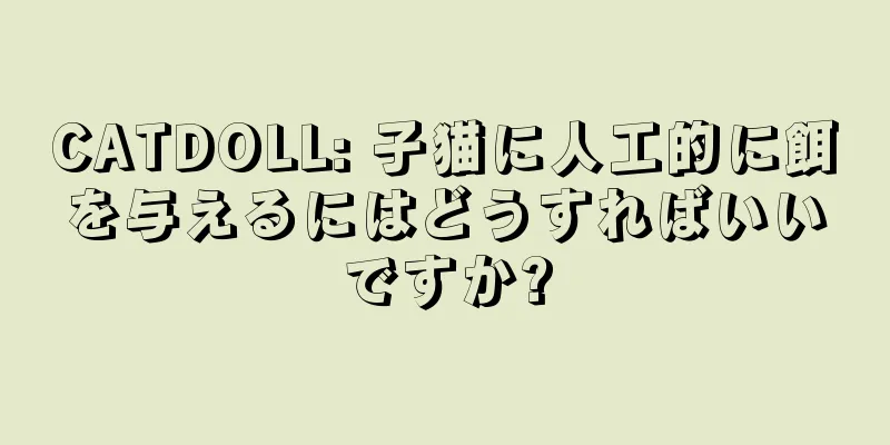 CATDOLL: 子猫に人工的に餌を与えるにはどうすればいいですか?