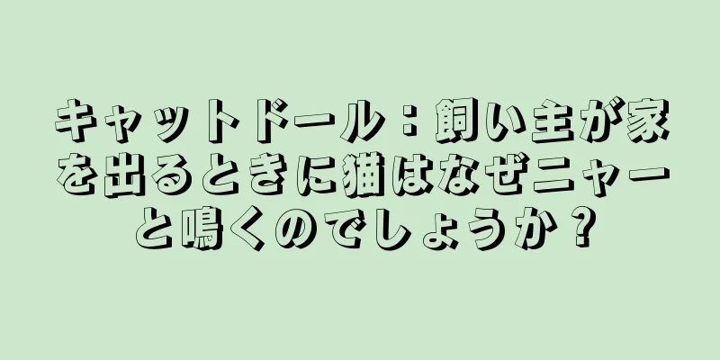 キャットドール：飼い主が家を出るときに猫はなぜニャーと鳴くのでしょうか？