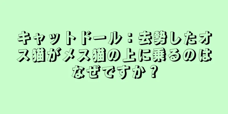キャットドール：去勢したオス猫がメス猫の上に乗るのはなぜですか？