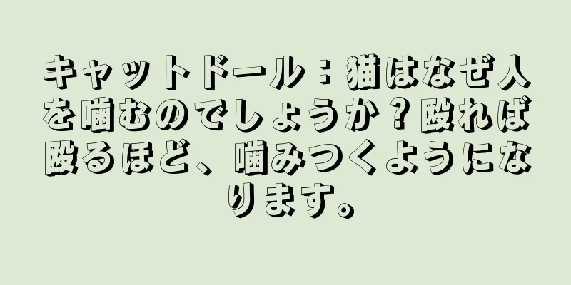 キャットドール：猫はなぜ人を噛むのでしょうか？殴れば殴るほど、噛みつくようになります。
