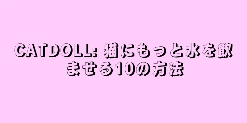 CATDOLL: 猫にもっと水を飲ませる10の方法