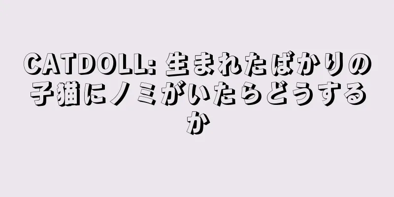 CATDOLL: 生まれたばかりの子猫にノミがいたらどうするか