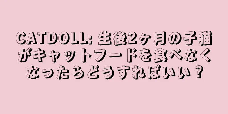 CATDOLL: 生後2ヶ月の子猫がキャットフードを食べなくなったらどうすればいい？