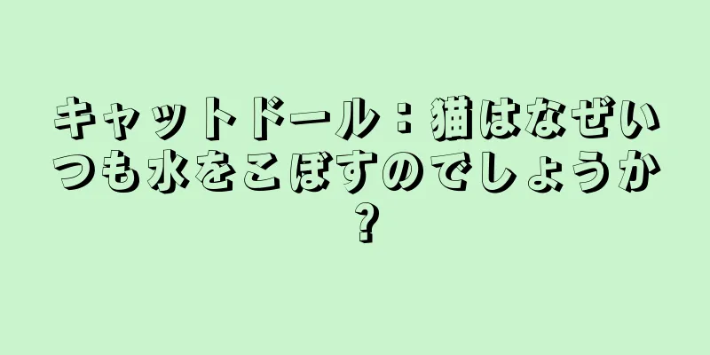 キャットドール：猫はなぜいつも水をこぼすのでしょうか？