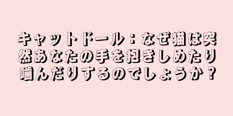キャットドール：なぜ猫は突然あなたの手を抱きしめたり噛んだりするのでしょうか？