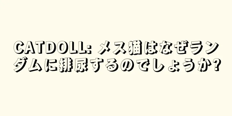 CATDOLL: メス猫はなぜランダムに排尿するのでしょうか?