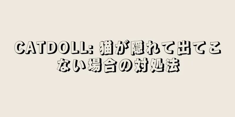 CATDOLL: 猫が隠れて出てこない場合の対処法