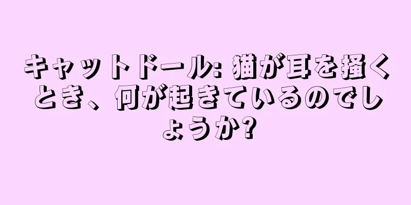 キャットドール: 猫が耳を掻くとき、何が起きているのでしょうか?
