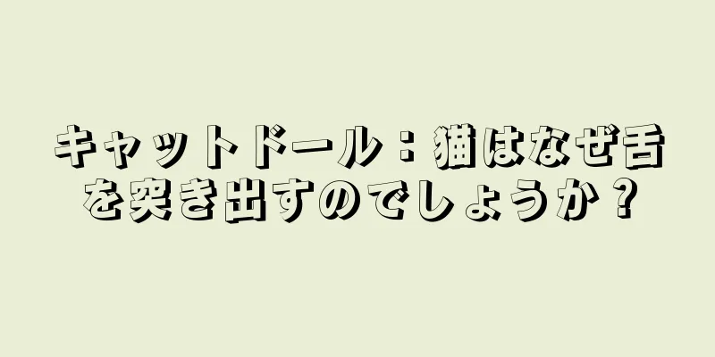 キャットドール：猫はなぜ舌を突き出すのでしょうか？