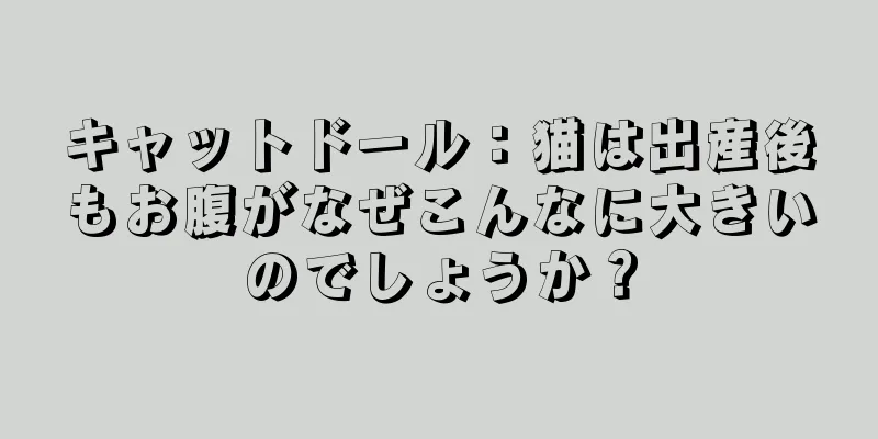 キャットドール：猫は出産後もお腹がなぜこんなに大きいのでしょうか？