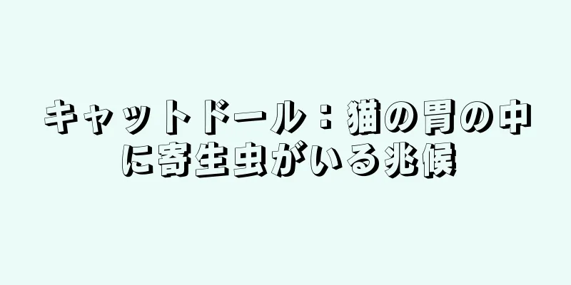 キャットドール：猫の胃の中に寄生虫がいる兆候