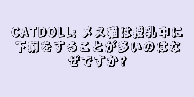 CATDOLL: メス猫は授乳中に下痢をすることが多いのはなぜですか?
