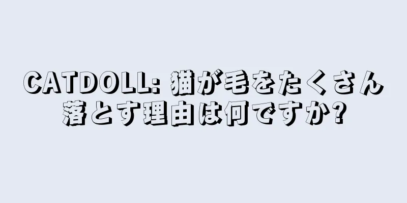 CATDOLL: 猫が毛をたくさん落とす理由は何ですか?