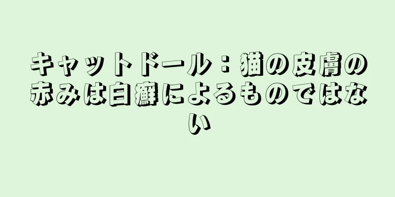 キャットドール：猫の皮膚の赤みは白癬によるものではない