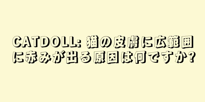 CATDOLL: 猫の皮膚に広範囲に赤みが出る原因は何ですか?