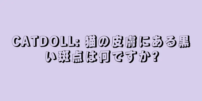 CATDOLL: 猫の皮膚にある黒い斑点は何ですか?