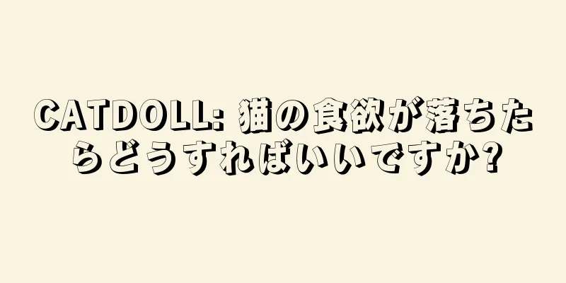 CATDOLL: 猫の食欲が落ちたらどうすればいいですか?