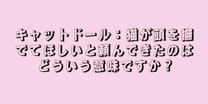 キャットドール：猫が頭を撫でてほしいと頼んできたのはどういう意味ですか？