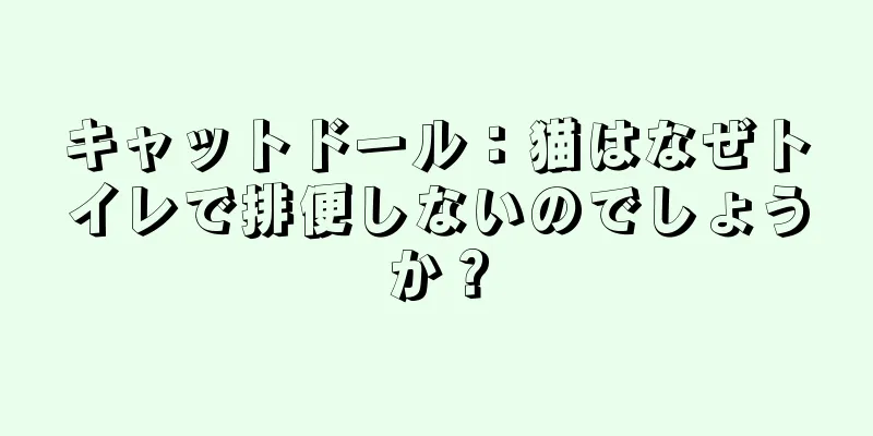 キャットドール：猫はなぜトイレで排便しないのでしょうか？