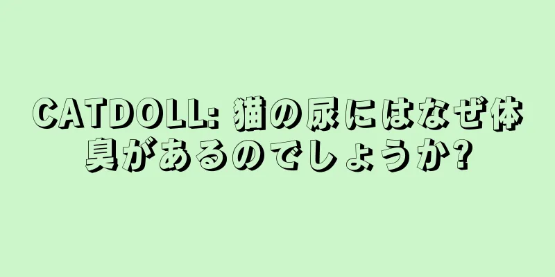 CATDOLL: 猫の尿にはなぜ体臭があるのでしょうか?