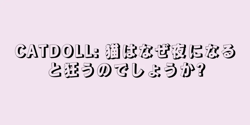 CATDOLL: 猫はなぜ夜になると狂うのでしょうか?