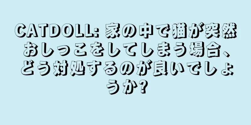 CATDOLL: 家の中で猫が突然おしっこをしてしまう場合、どう対処するのが良いでしょうか?