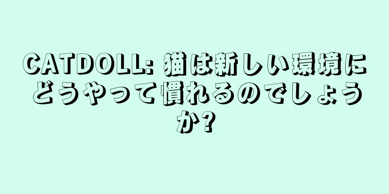 CATDOLL: 猫は新しい環境にどうやって慣れるのでしょうか?