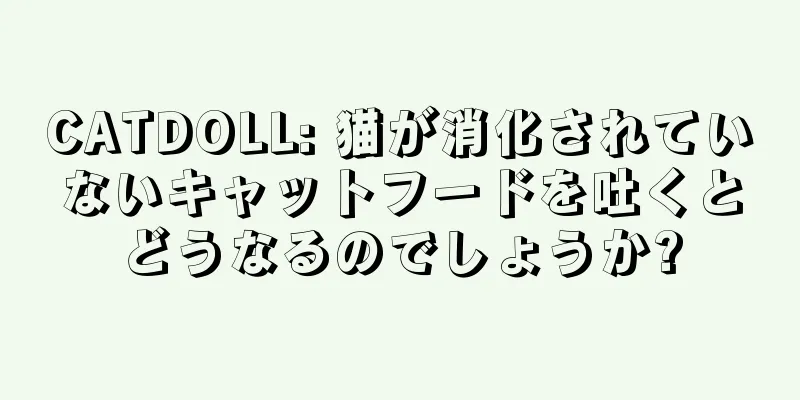 CATDOLL: 猫が消化されていないキャットフードを吐くとどうなるのでしょうか?