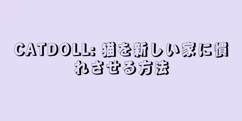 CATDOLL: 猫を新しい家に慣れさせる方法