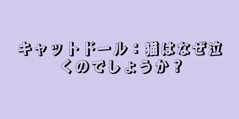 キャットドール：猫はなぜ泣くのでしょうか？