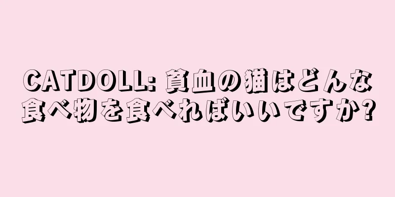 CATDOLL: 貧血の猫はどんな食べ物を食べればいいですか?