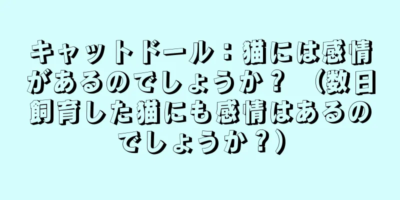 キャットドール：猫には感情があるのでしょうか？ （数日飼育した猫にも感情はあるのでしょうか？）