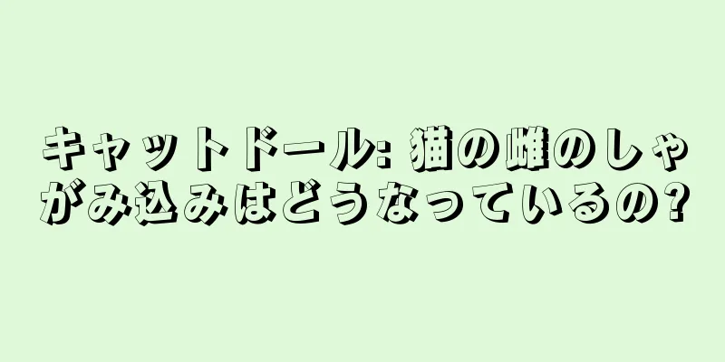 キャットドール: 猫の雌のしゃがみ込みはどうなっているの?