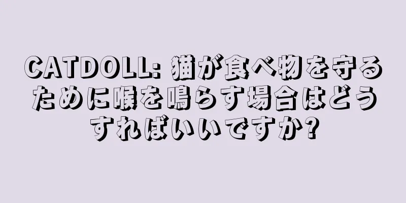 CATDOLL: 猫が食べ物を守るために喉を鳴らす場合はどうすればいいですか?