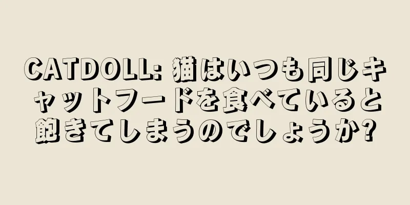 CATDOLL: 猫はいつも同じキャットフードを食べていると飽きてしまうのでしょうか?