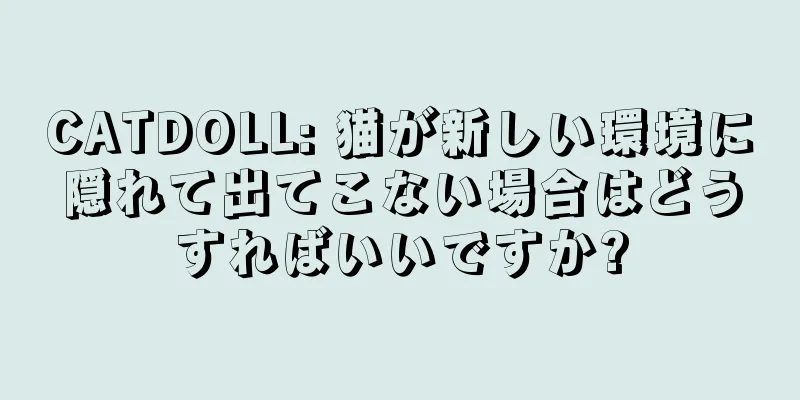 CATDOLL: 猫が新しい環境に隠れて出てこない場合はどうすればいいですか?