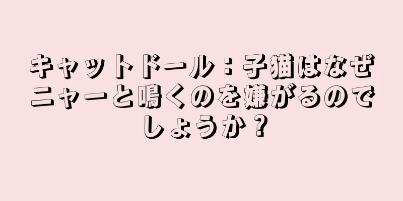 キャットドール：子猫はなぜニャーと鳴くのを嫌がるのでしょうか？