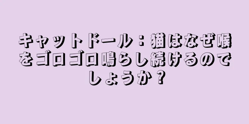 キャットドール：猫はなぜ喉をゴロゴロ鳴らし続けるのでしょうか？
