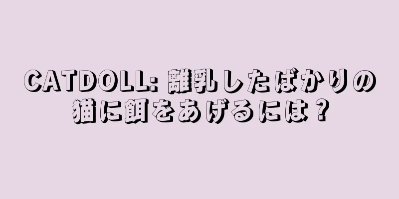CATDOLL: 離乳したばかりの猫に餌をあげるには？
