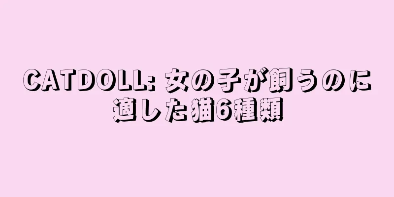 CATDOLL: 女の子が飼うのに適した猫6種類