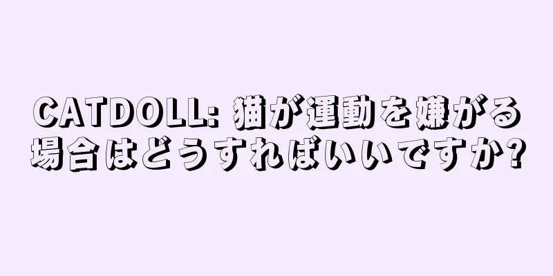 CATDOLL: 猫が運動を嫌がる場合はどうすればいいですか?