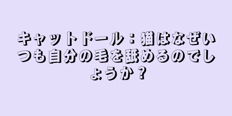 キャットドール：猫はなぜいつも自分の毛を舐めるのでしょうか？