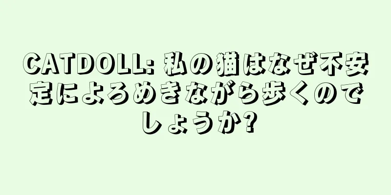 CATDOLL: 私の猫はなぜ不安定によろめきながら歩くのでしょうか?
