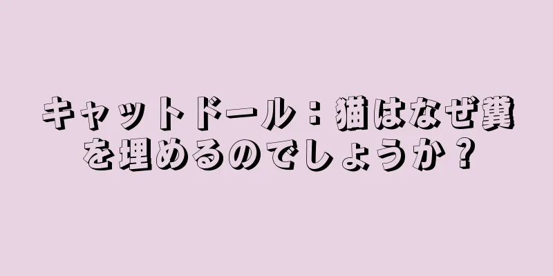 キャットドール：猫はなぜ糞を埋めるのでしょうか？