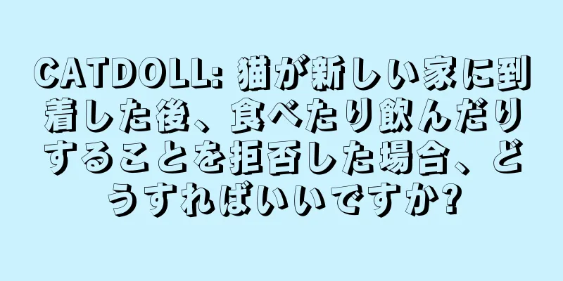 CATDOLL: 猫が新しい家に到着した後、食べたり飲んだりすることを拒否した場合、どうすればいいですか?