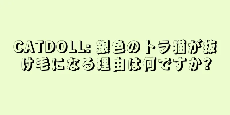 CATDOLL: 銀色のトラ猫が抜け毛になる理由は何ですか?