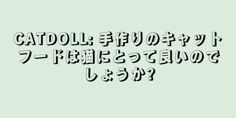CATDOLL: 手作りのキャットフードは猫にとって良いのでしょうか?