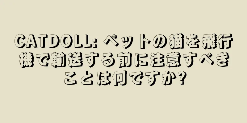 CATDOLL: ペットの猫を飛行機で輸送する前に注意すべきことは何ですか?
